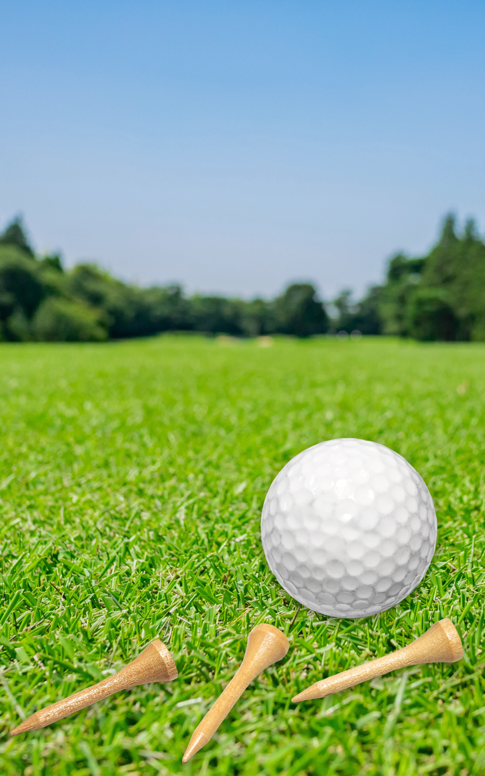 Golf ball with tees on a grassy field